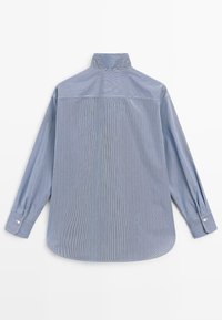 Zadní pohled na modro-bílou proužkovanou košili s dlouhým rukávem, s knoflíkovými manžetami a vysokým límcem.