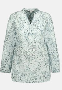 Ikke valgt, eisgrün