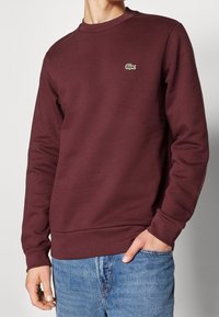 Sudadera burdeos de algodón, con cuello redondo, mangas largas, puños y bajo acanalados, y un pequeño logo verde en el pecho.