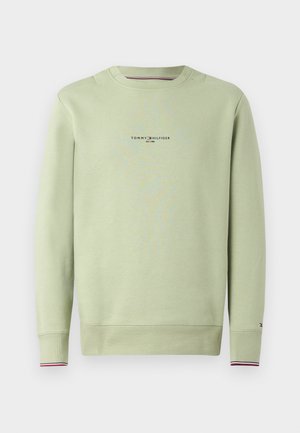 Light green sweatshirt made of soft fabric. Features crew neck, long sleeves, and a small printed logo on the chest. Ribbed cuffs with color accents.