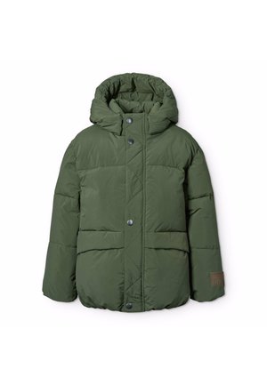 Molo HAYDEN JACKET UNISEX - Téli dzseki - dark forest
