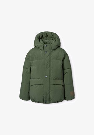 Molo HAYDEN JACKET UNISEX - Giacca invernale - dark forest