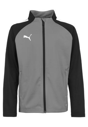 TEAMLIGA  - Trainingsjacke - smoked pearl/puma white