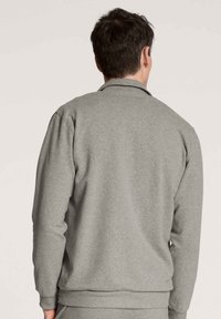 Grijze sweatshirt met een kraag en lange mouwen. De stof lijkt zacht met een gladde textuur, en heeft ribgebreide boorden en een onderrand.