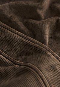 REGULAR FIT - Chaqueta fina - chocolate brown