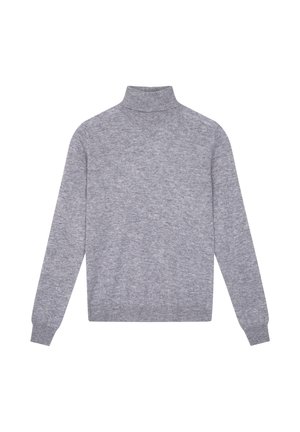 Lichtgrijze coltrui met lange mouwen, gemaakt van zachte stof, met een aangesloten kraag en geribbelde zoom en manchetten. Eenvoudig ontwerp zonder patronen.