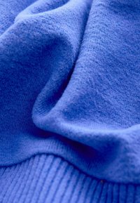 Next PETITE FIT COSY SOFT TOUCH LONG SLEEVE CREWNECK  - Vesta - blue