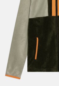 Columbia BACK BOWL FULL ZIP UNISEX - Veste polaire - safari/green