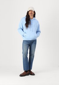 Lacoste Sweatshirt - overview