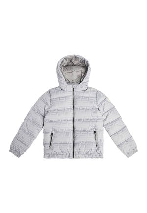 ALLOVER - Chaqueta de invierno - grau