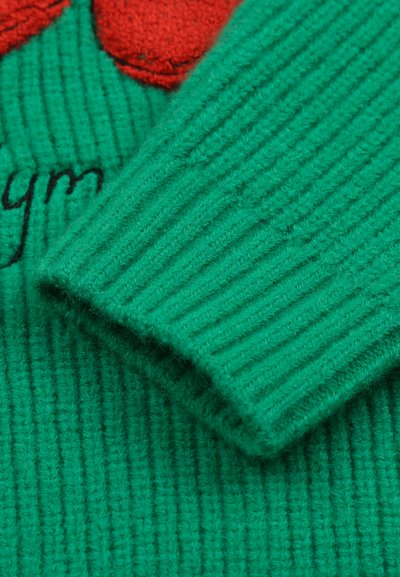 JELLY MALLOW FLOWER UNISEX - Džemper - green