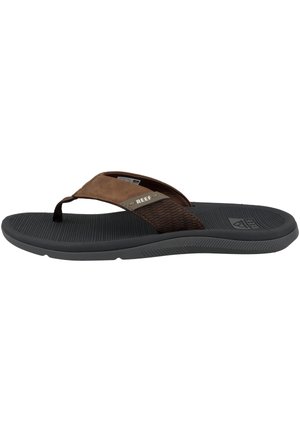 SANTA ANA  - Chanclas de dedo - grey tan