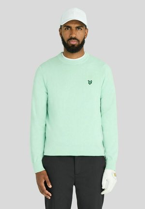 Mand iført en hvid kasket, mintgrøn sweater med fuglelogo, sorte bukser og hvid golfhandske på højre hånd står foran en ensfarvet baggrund.