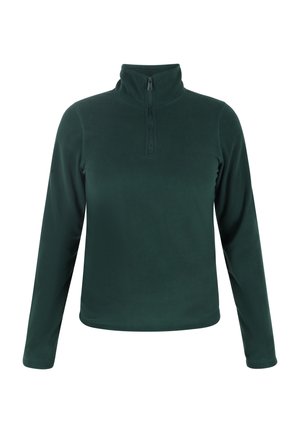Donkergroen fleece pullover met een halve rits en hoge kraag. Heeft lange mouwen en een zachte, gestructureerde oppervlakte. Eenvoudig en functioneel ontwerp.