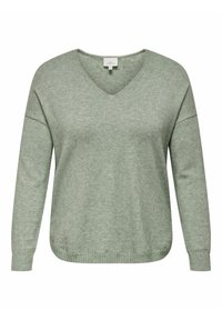 CARMARGARETA LS - Pullover - basil