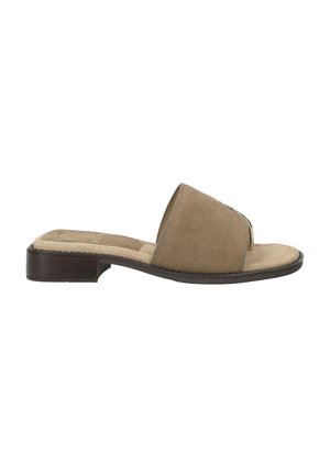 Brown suede open-toe slide sandal with low stacked heel and wide strap across the foot, shown in side profile on a white background.