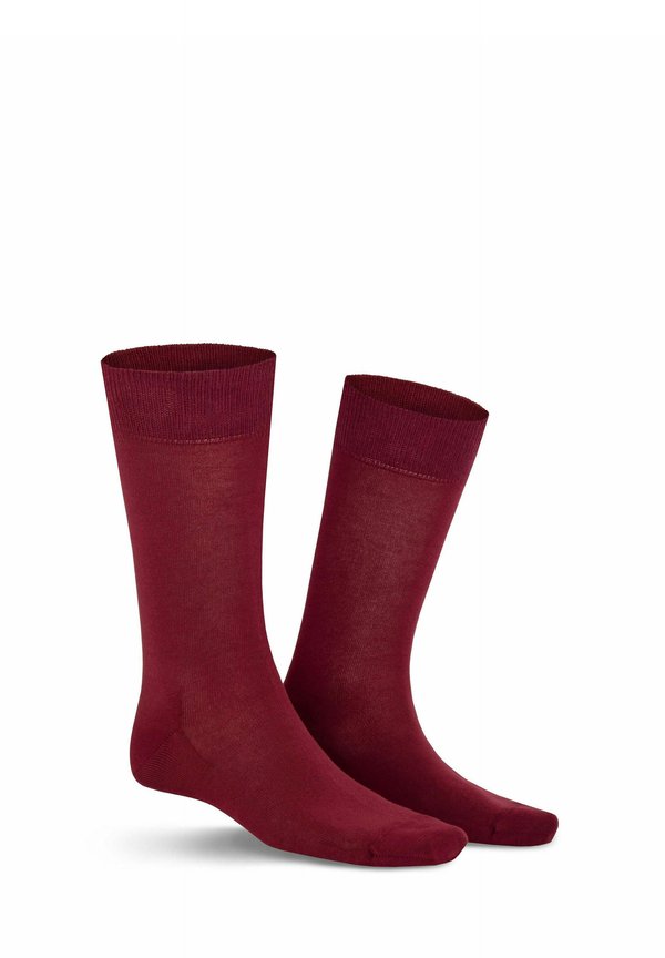RICHARD - Socken - merlot
