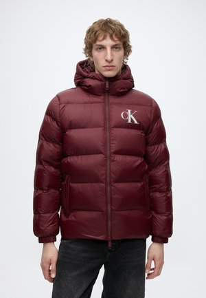 Giovane uomo che indossa una giacca imbottita color amaranto con cappuccio e logo CK sul petto, in piedi davanti a uno sfondo bianco semplice.