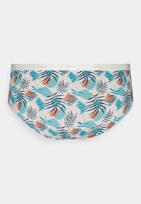 DIM POCKET BOXER 3 PACK - Briefs - tropico coco