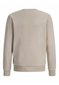 Felpa beige con collo a giro, maniche lunghe e polsini e orlo a costine. Texture liscia, senza motivi o dettagli evidenti.