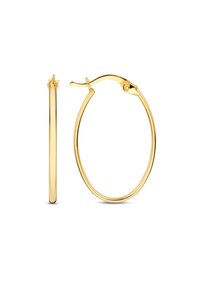 Boucles d'oreilles en or avec une finition polie, dotées d'un design circulaire fin et d'une fermeture à clip sécurisée. Texture lisse remarquable.