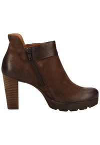 Paul Green Botines de tacón - dark brown