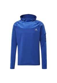 Felpa sportiva blu realizzata in tessuto liscio, con collo alto, maniche lunghe e un piccolo logo sulla parte sinistra del petto.