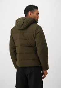 Jack Wolfskin NORTHERN LITE HOODED  - Veste d'hiver - obsidian moss