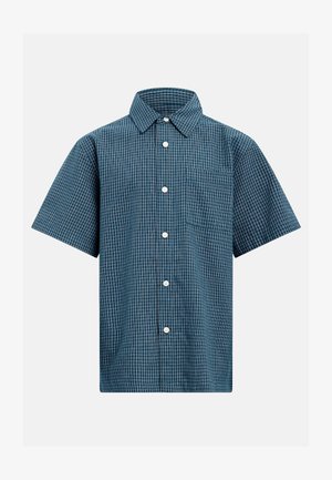 Lühikeste varrukatega, sinist värvi ruuduline nööbita särk ühe rinna tasku ja klassikalise kraega valgel taustal.