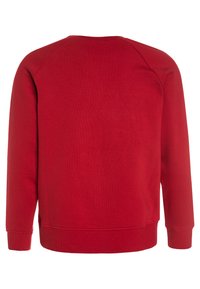 Rotes Sweatshirt mit Rundhalsausschnitt, langen Raglanärmeln und gerippten Bündchen und Saum. Glatte Textur in einer einheitlichen Farbe, ohne Muster.