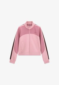 Επιλέχθηκε, mehrfarbe rose