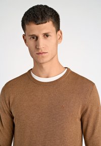Maglione marrone lavorato a maglia con scollo a girocollo e polsini a costine, indossato sopra una camicia bianca. Presenta un piccolo logo discreto sul petto.