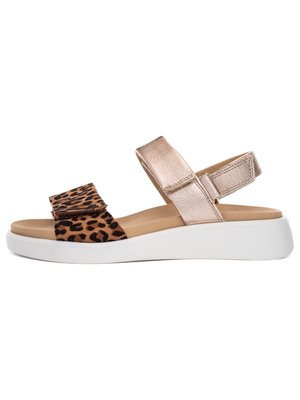 Damen-Sandale mit offenem Zehenbereich, dicker weißer Sohle, metallischem roségoldenem Knöchelriemen und leopardgemustertem Vorderem Riemen mit Klettverschluss.