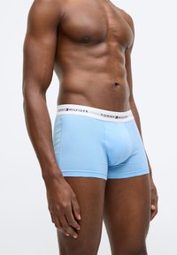 Lyseblå boxershorts med elastisk hvid linning med "Tommy Hilfiger"-logo i rødt og marineblåt. Blødt, strækbart stof.