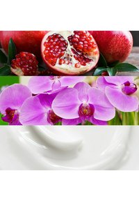 Punica granatum punah merah dengan biji cerah, anggrek merah muda mekar di atas permukaan krim putih yang halus dan glossy. Visual yang tekstur dan berwarna-warni.