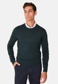 Maglione verde scuro a girocollo in un tessuto lavorato a maglia, con maniche lunghe e polsini e orlo a coste, indossato sopra una camicia bianca con colletto.