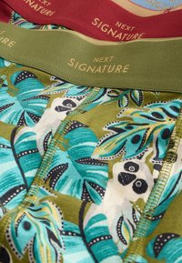 Next 4 PACK - Lange Boxershorts - green blue leaf animal print
