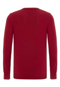 Roter Pullover mit langen Ärmeln, rundem Halsausschnitt, gestrickter Textur und gerippten Bündchen und Saum. Rückansicht, keine sichtbaren Muster oder Beschläge.