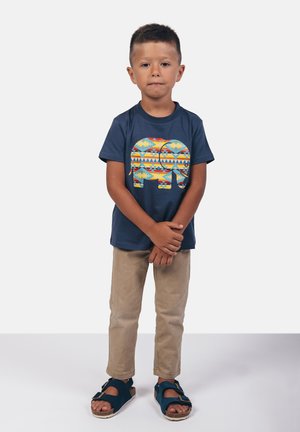 Camiseta azul con un gráfico de elefante en colores brillantes, pantalones beige y sandalias azules. Diseño simple, mangas cortas y corte casual.