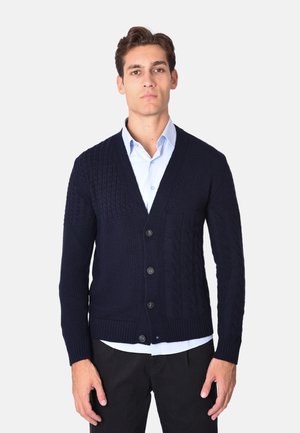 Cardigan lavorato a maglia blu navy con motivo a treccia, scollo a V, maniche lunghe, cinque bottoni e tasca a toppa, indossato su una camicia azzurro chiaro.