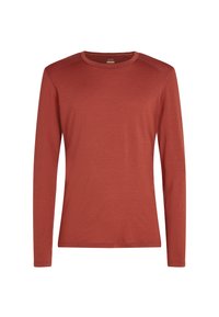 Långärmad tröja med rundad hals i bränd orange färg, tillverkad av ett strukturerat tyg med en slät yta utan synliga mönster eller detaljer.