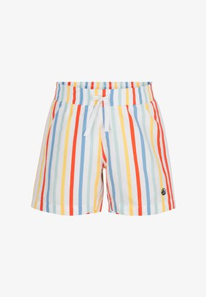 Costume da bagno a righe multicolori con strisce verticali rosse, blu, gialle e verdi. Vita elastica con coulisse bianca.