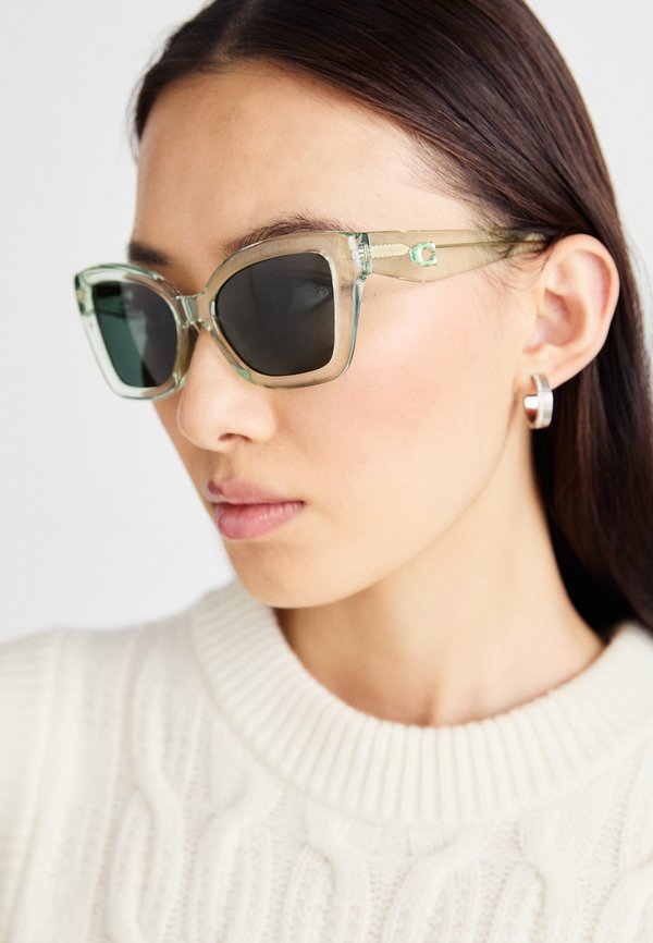 Sunglasses - transparent pistachio3