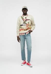 Pull en tricot ivoire avec motif multicolore, chemise à carreaux rouges, jeans bleu clair et baskets rouges. Comprend une casquette de baseball de couleur claire.