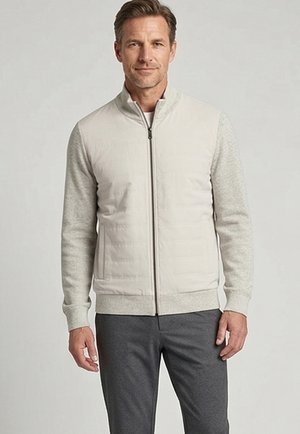 Man draagt een lichtgrijs jasje met rits, met doorgestikte voorkanten en effen grijze mouwen, staand tegen een effen achtergrond.