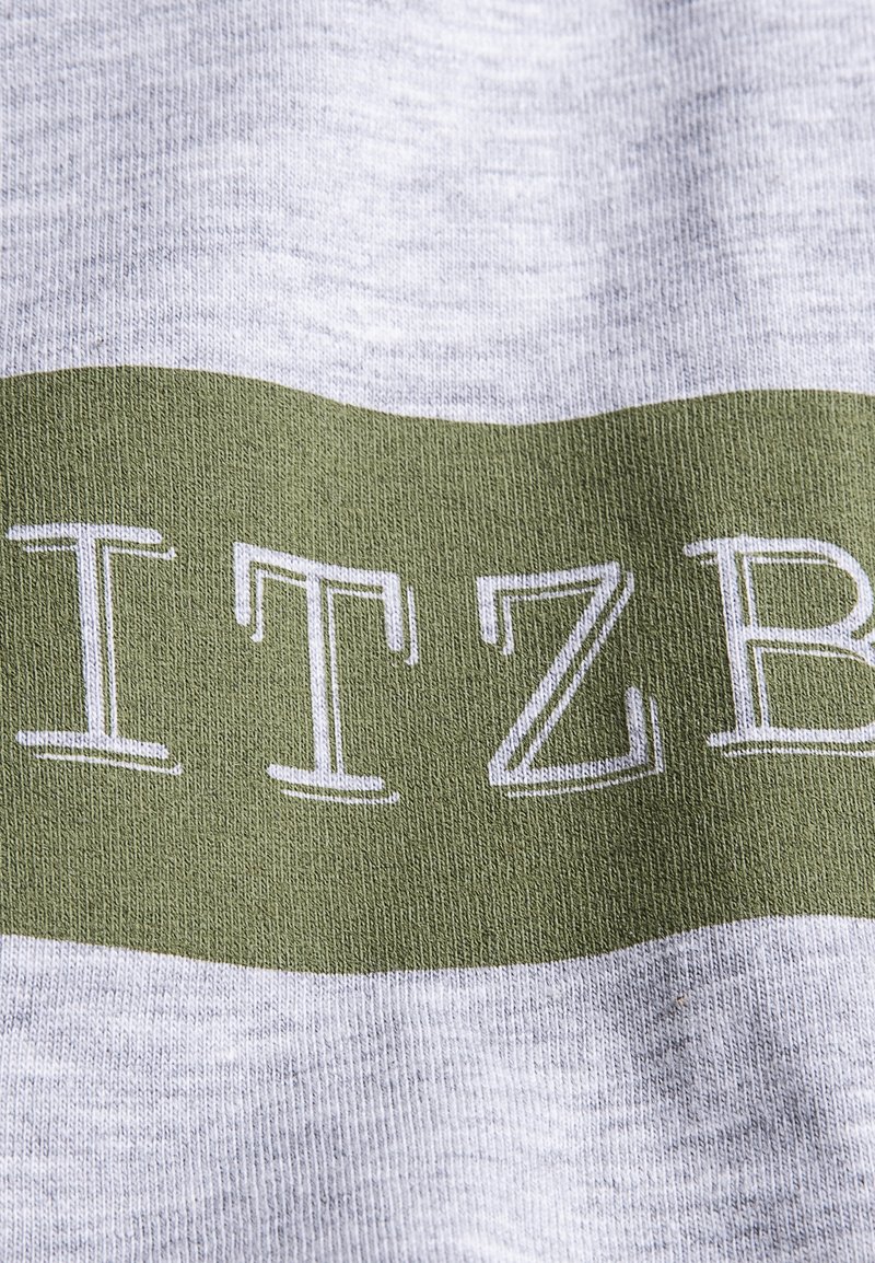 Herren T-Shirts basic | Spitzbub FRANZ T-Shirt print grey/grau - JE59634 Herren T-Shirts basic | Spitzbub FRANZ T-Shirt print grey/grau - JE59634