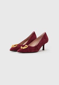 Alti tacchi in suede color bordeaux con punta affusolata, caratterizzati da una dettagliata catena in tonalità oro nella parte anteriore e un tacco sottile di media altezza.