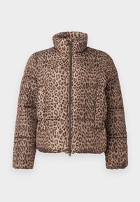 Vero Moda VMPARDA JACKET - Ziemas jaka - silver mink