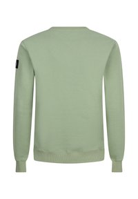 Hellgrüner Pullover aus weichem Material, mit langen Ärmeln, gerippten Bündchen und Saum sowie einem schwarzen Logo-Patch auf dem linken Ärmel.