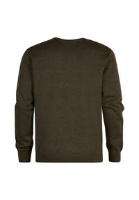 Dark olive green long-sleeve crewneck sweater with ribbed cuffs and hem, shown from the back on a white background.